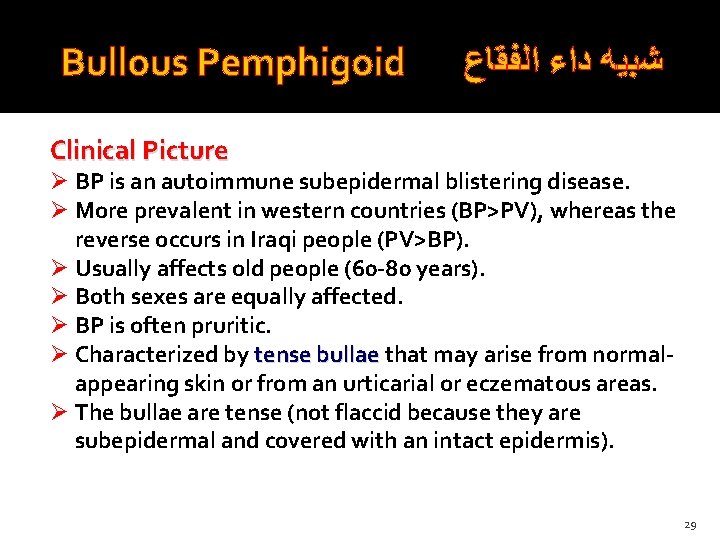 Bullous Pemphigoid ﺷﺒﻴﻪ ﺩﺍﺀ ﺍﻟﻔﻘﺎﻉ Clinical Picture Ø BP is an autoimmune subepidermal blistering