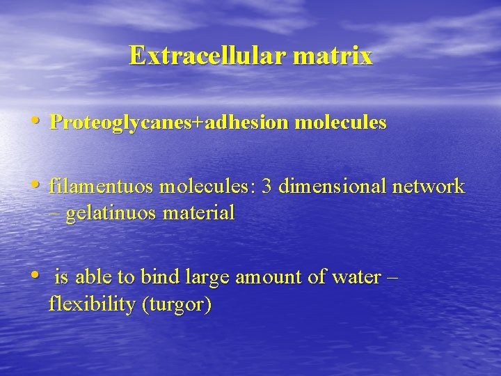 Extracellular matrix • Proteoglycanes+adhesion molecules • filamentuos molecules: 3 dimensional network – gelatinuos material Extracellular matrix • Proteoglycanes+adhesion molecules • filamentuos molecules: 3 dimensional network – gelatinuos material