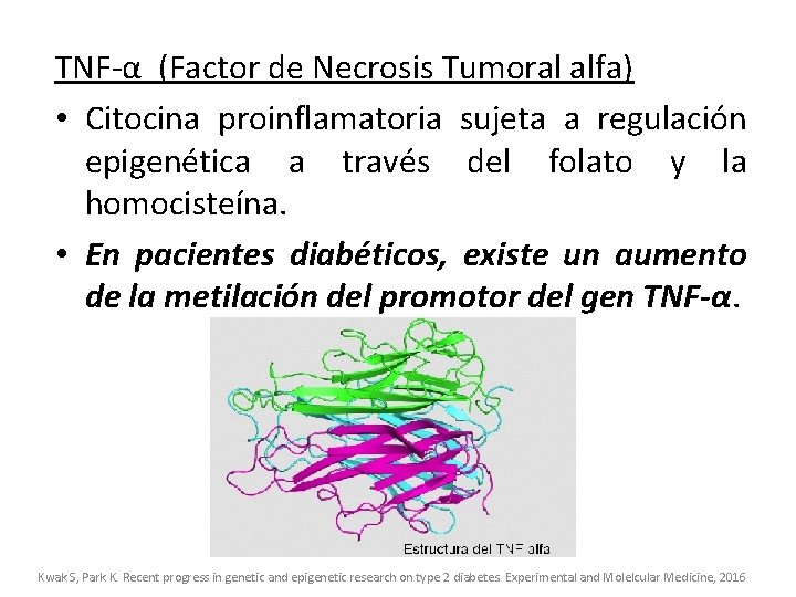 TNF-α (Factor de Necrosis Tumoral alfa) • Citocina proinflamatoria sujeta a regulación epigenética a