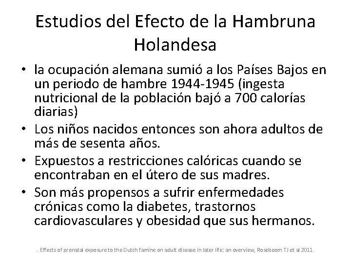 Estudios del Efecto de la Hambruna Holandesa • la ocupación alemana sumió a los
