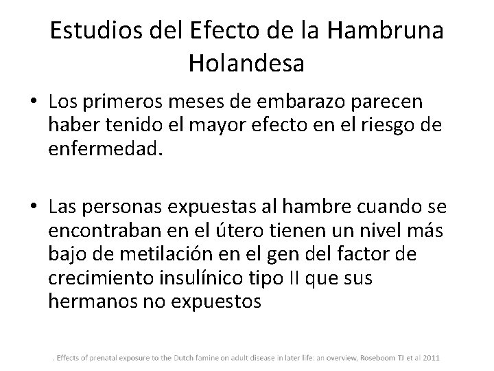 Estudios del Efecto de la Hambruna Holandesa • Los primeros meses de embarazo parecen