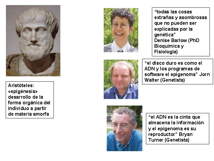 “todas las cosas extrañas y asombrosas que no pueden ser explicadas por la genética”