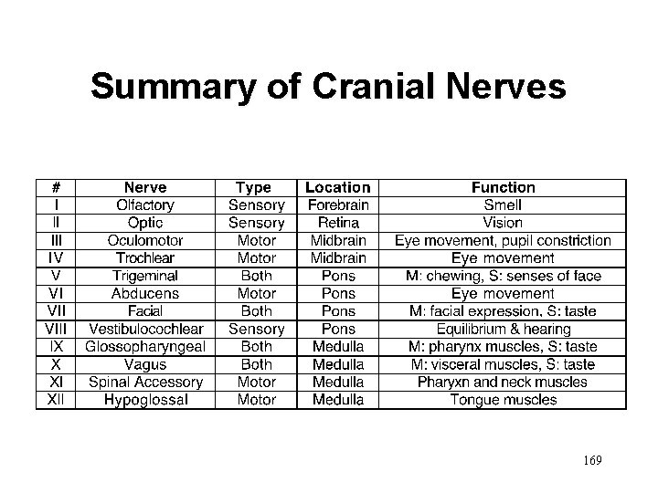 Summary of Cranial Nerves 169 