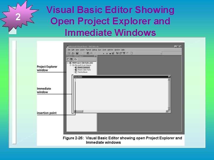 2 Visual Basic Editor Showing Open Project Explorer and Immediate Windows 