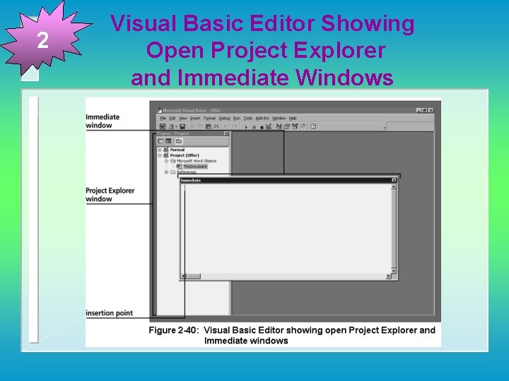 2 Visual Basic Editor Showing Open Project Explorer and Immediate Windows 