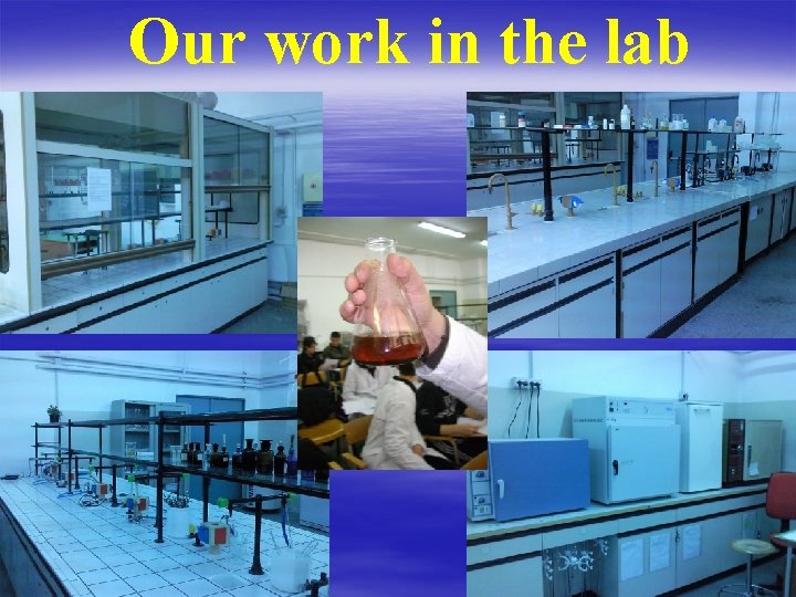 Our work in the lab 
