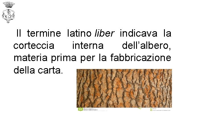  Il termine latino liber indicava la corteccia interna dell’albero, materia prima per la