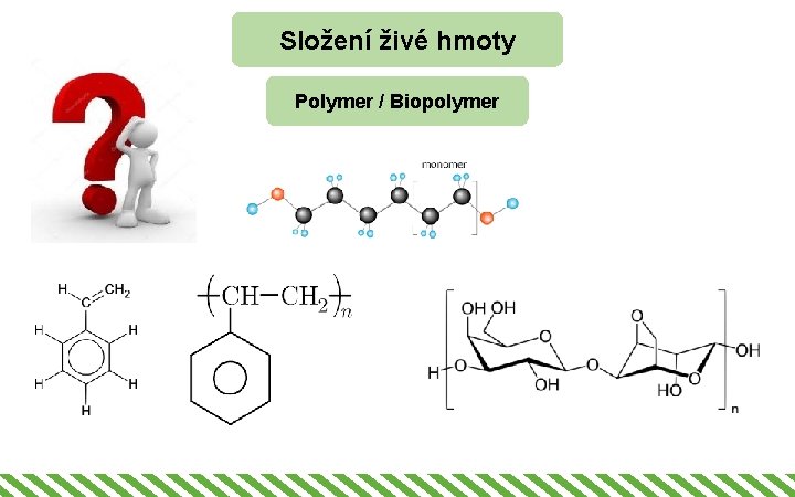 Složení živé hmoty Polymer / Biopolymer 