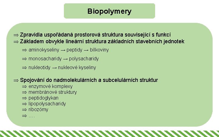 Biopolymery Þ Zpravidla uspořádaná prostorová struktura související s funkcí Þ Základem obvykle lineární struktura