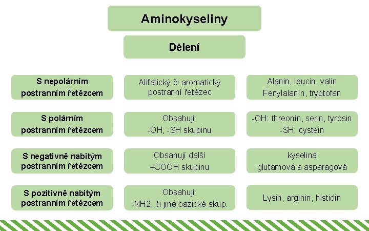 Aminokyseliny Dělení S nepolárním postranním řetězcem Alifatický či aromatický postranní řetězec Alanin, leucin, valin