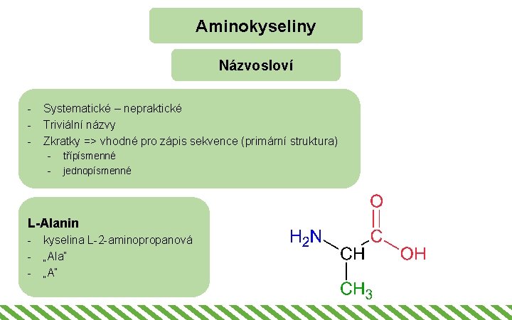 Aminokyseliny Názvosloví - Systematické – nepraktické Triviální názvy Zkratky => vhodné pro zápis sekvence