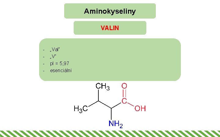 Aminokyseliny VALIN - „Val“ „V“ p. I = 5, 97 esenciální 