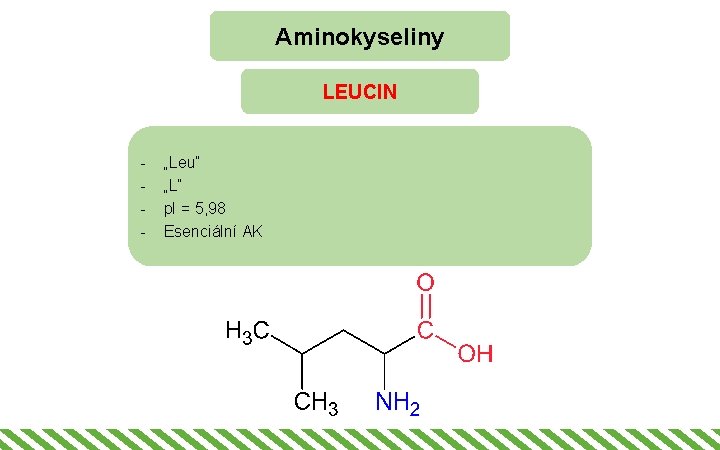 Aminokyseliny LEUCIN - „Leu“ „L“ p. I = 5, 98 Esenciální AK 