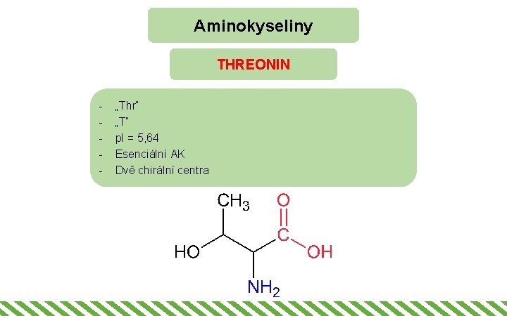 Aminokyseliny THREONIN - „Thr“ „T“ p. I = 5, 64 Esenciální AK Dvě chirální