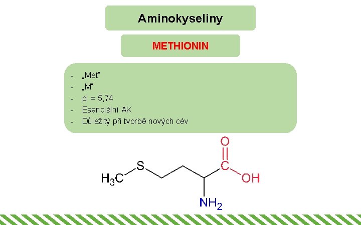 Aminokyseliny METHIONIN - „Met“ „M“ p. I = 5, 74 Esenciální AK Důležitý při