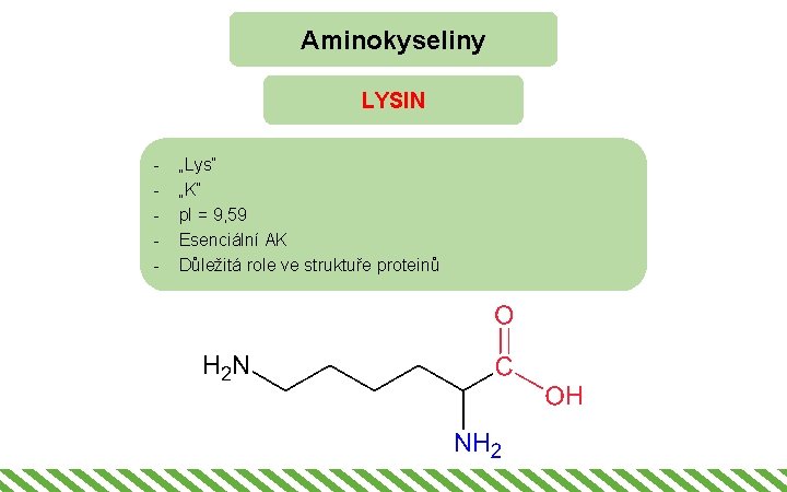 Aminokyseliny LYSIN - „Lys“ „K“ p. I = 9, 59 Esenciální AK Důležitá role