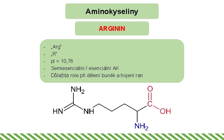 Aminokyseliny ARGININ - „Arg“ „R“ p. I = 10, 76 Semiesenciální / esenciální AK