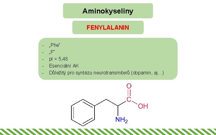 Aminokyseliny FENYLALANIN - „Phe“ „F“ p. I = 5, 48 Esenciální AK Důležitý pro