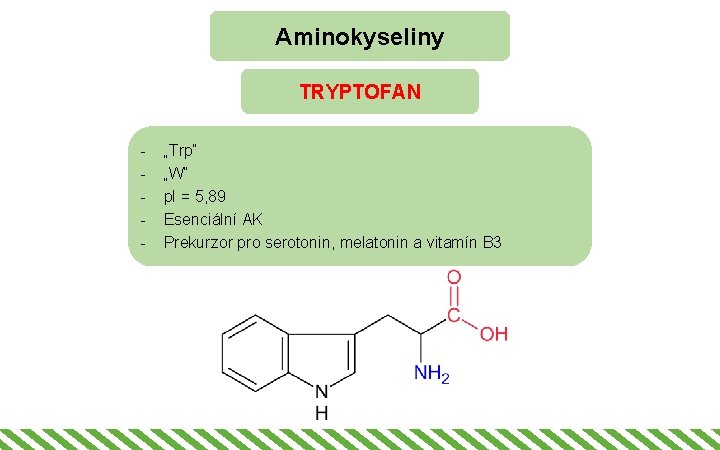 Aminokyseliny TRYPTOFAN - „Trp“ „W“ p. I = 5, 89 Esenciální AK Prekurzor pro