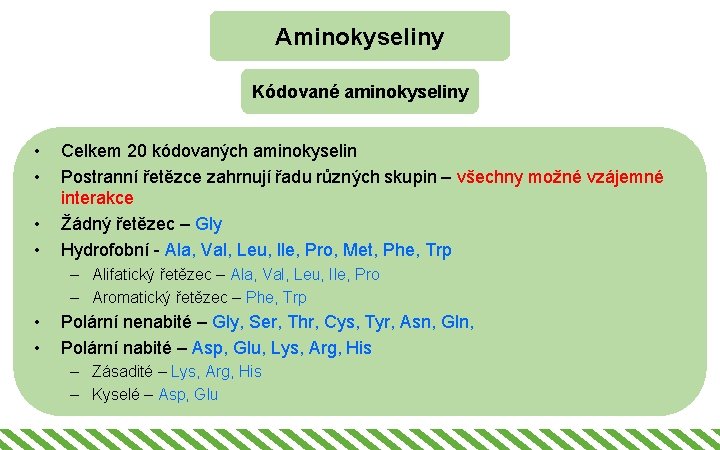 Aminokyseliny Kódované aminokyseliny • • Celkem 20 kódovaných aminokyselin Postranní řetězce zahrnují řadu různých