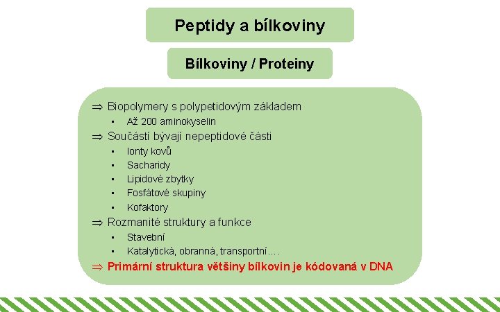 Peptidy a bílkoviny Bílkoviny / Proteiny Þ Biopolymery s polypetidovým základem • Až 200