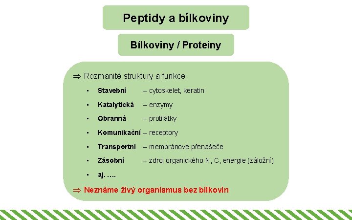 Peptidy a bílkoviny Bílkoviny / Proteiny Þ Rozmanité struktury a funkce: • Stavební –