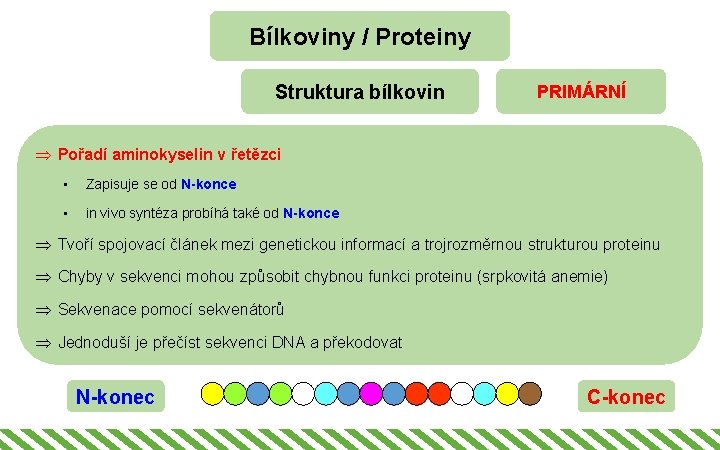Bílkoviny / Proteiny Struktura bílkovin PRIMÁRNÍ Þ Pořadí aminokyselin v řetězci • Zapisuje se
