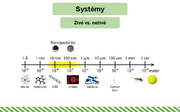 Systémy Živé vs. neživé 