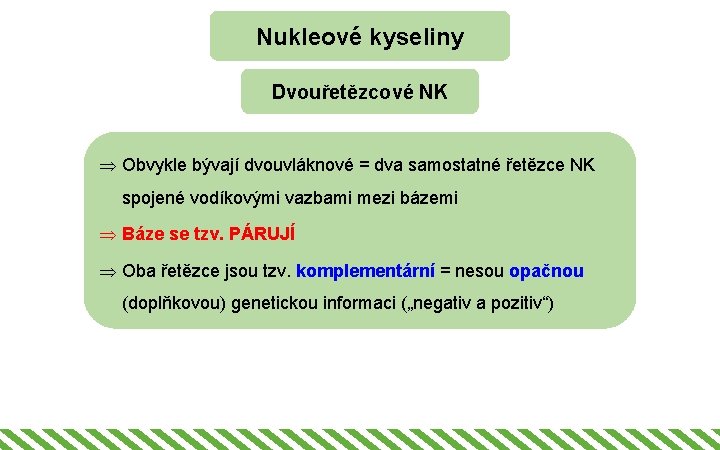 Nukleové kyseliny Dvouřetězcové NK Þ Obvykle bývají dvouvláknové = dva samostatné řetězce NK spojené