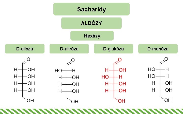 Sacharidy ALDÓZY Hexózy D-allóza D-altróza D-glukóza D-manóza 