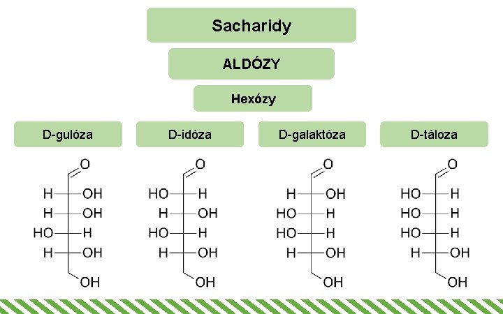 Sacharidy ALDÓZY Hexózy D-gulóza D-idóza D-galaktóza D-táloza 