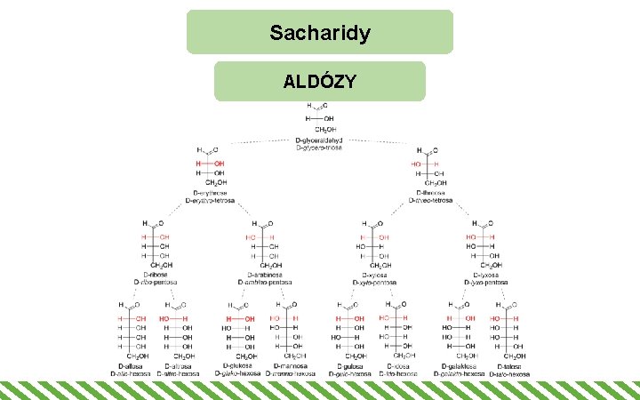 Sacharidy ALDÓZY 