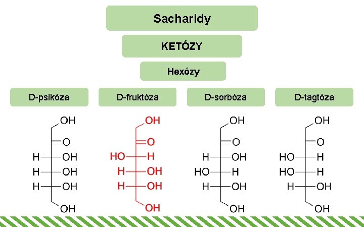 Sacharidy KETÓZY Hexózy D-psikóza D-fruktóza D-sorbóza D-tagtóza 