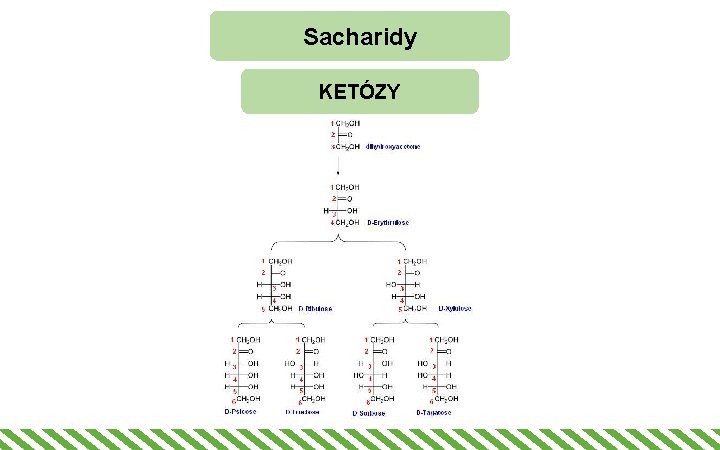 Sacharidy KETÓZY 