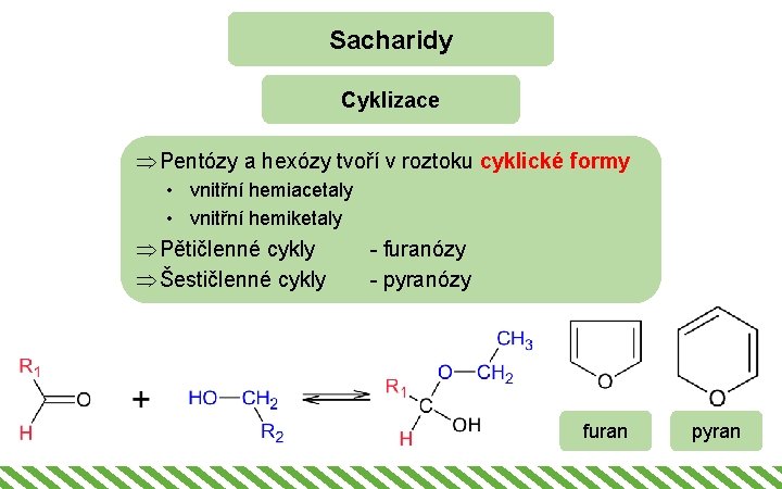 Sacharidy Cyklizace Þ Pentózy a hexózy tvoří v roztoku cyklické formy • vnitřní hemiacetaly