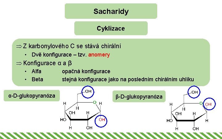 Sacharidy Cyklizace Þ Z karbonylového C se stává chirální • Dvě konfigurace – tzv.