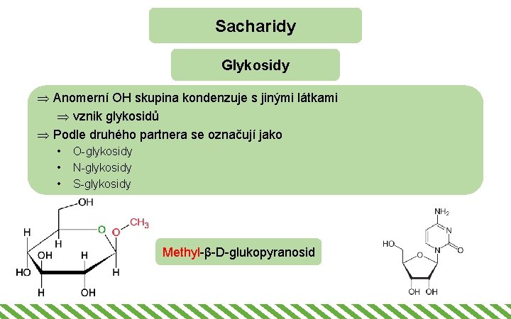 Sacharidy Glykosidy Þ Anomerní OH skupina kondenzuje s jinými látkami Þ vznik glykosidů Þ