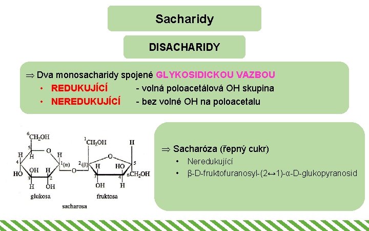 Sacharidy DISACHARIDY Þ Dva monosacharidy spojené GLYKOSIDICKOU VAZBOU • REDUKUJÍCÍ - volná poloacetálová OH
