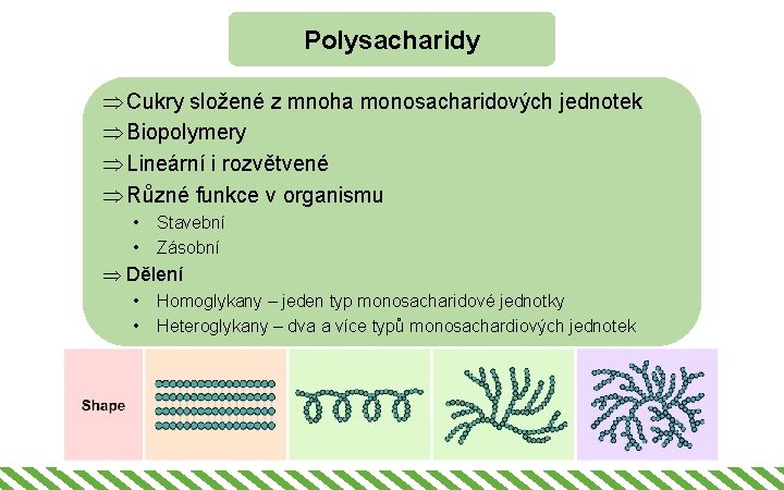 Polysacharidy Þ Cukry složené z mnoha monosacharidových jednotek Þ Biopolymery Þ Lineární i rozvětvené