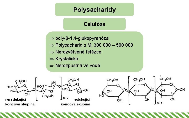 Polysacharidy Celulóza Þ poly-β-1, 4 -glukopyranóza Þ Polysacharid s Mr 300 000 – 500