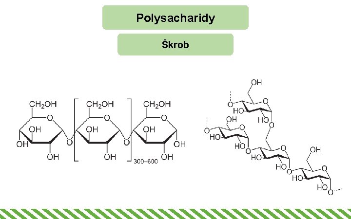 Polysacharidy Škrob 