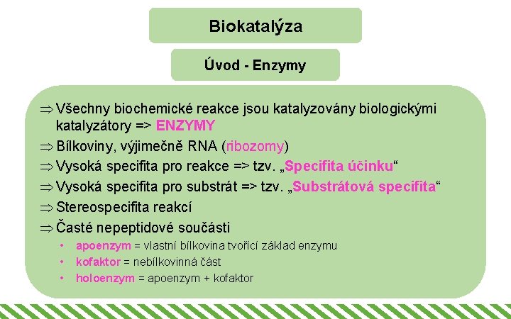Biokatalýza Úvod - Enzymy Þ Všechny biochemické reakce jsou katalyzovány biologickými katalyzátory => ENZYMY