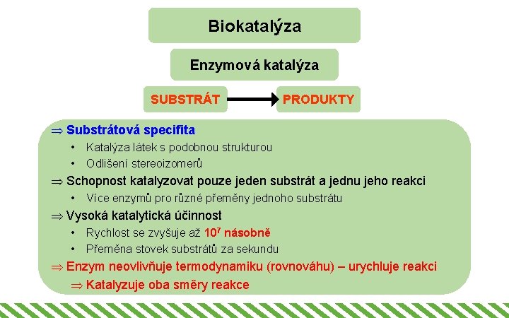Biokatalýza Enzymová katalýza SUBSTRÁT PRODUKTY Þ Substrátová specifita • • Katalýza látek s podobnou