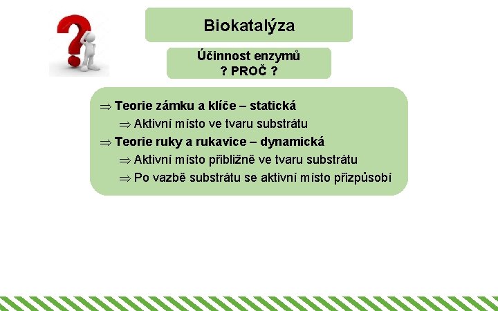 Biokatalýza Účinnost enzymů ? PROČ ? Þ Teorie zámku a klíče – statická Þ