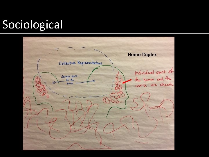 Sociological Homo Duplex 