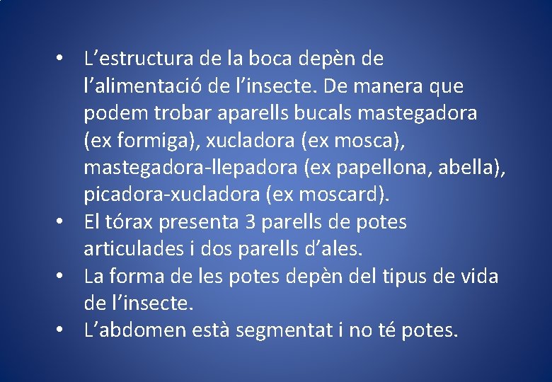  • L’estructura de la boca depèn de l’alimentació de l’insecte. De manera que