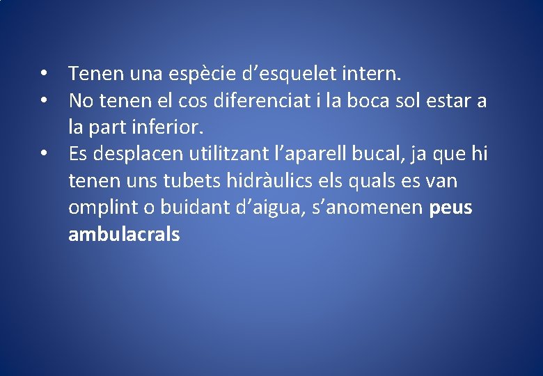  • Tenen una espècie d’esquelet intern. • No tenen el cos diferenciat i