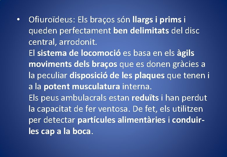  • Ofiuroïdeus: Els braços són llargs i prims i queden perfectament ben delimitats