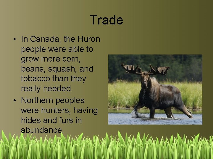 Trade • In Canada, the Huron people were able to grow more corn, beans,