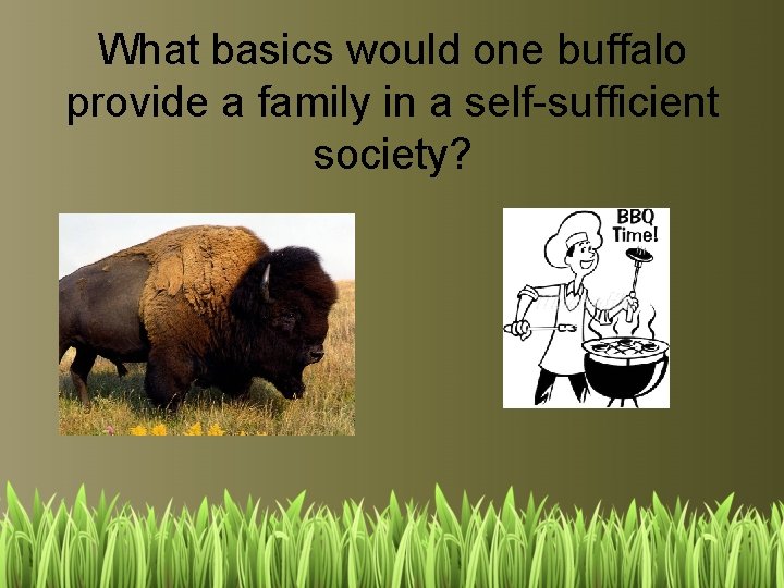 What basics would one buffalo provide a family in a self-sufficient society? 
